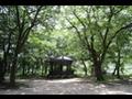 오산리 왕정 마을 숲 썸네일 이미지