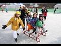남대천 얼음 축제 얼음 썰매 스케이트 체험 썸네일 이미지